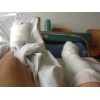 Verletzungen nach dem Unfall im Kantonsspital Luzern Foto: Simon Gerber